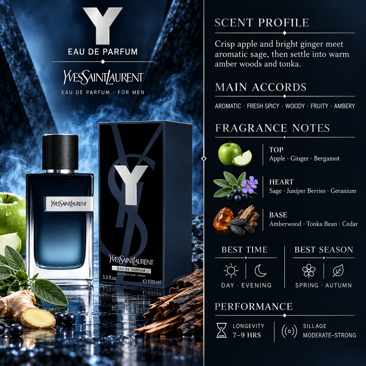 Y EDP - YSL